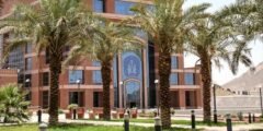 ما سبب فصل 600 موظف من جامعة طيبة في السعودية