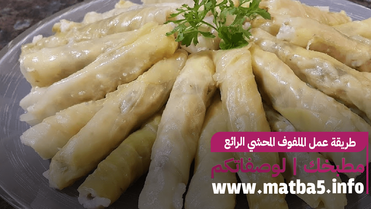 طريقة عمل الملفوف المحشي الرائع